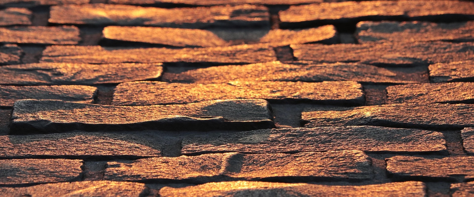 Transform Your Landscape with Smart Services PDX