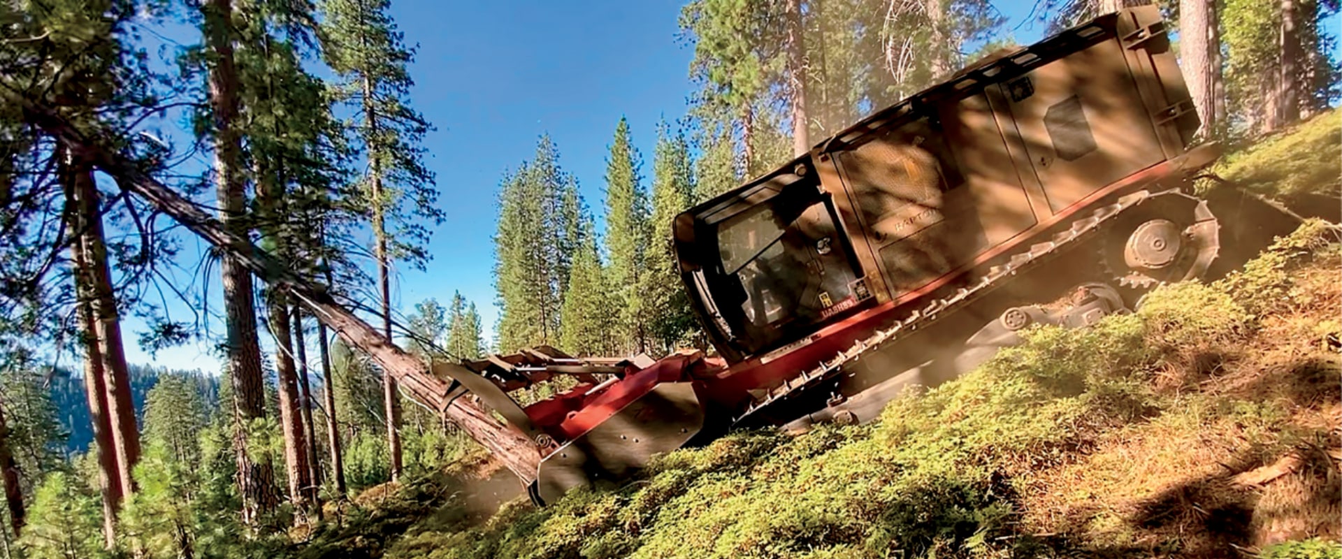 Steel Meets Sustainability: How Smart Machines Are Changing Forest Management