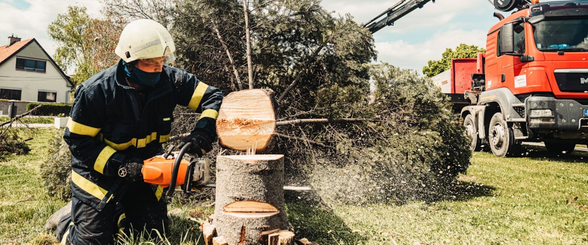 Boost Curb Appeal With Tree Felling Services Using Forestry Equipment In Kalamazoo, MI