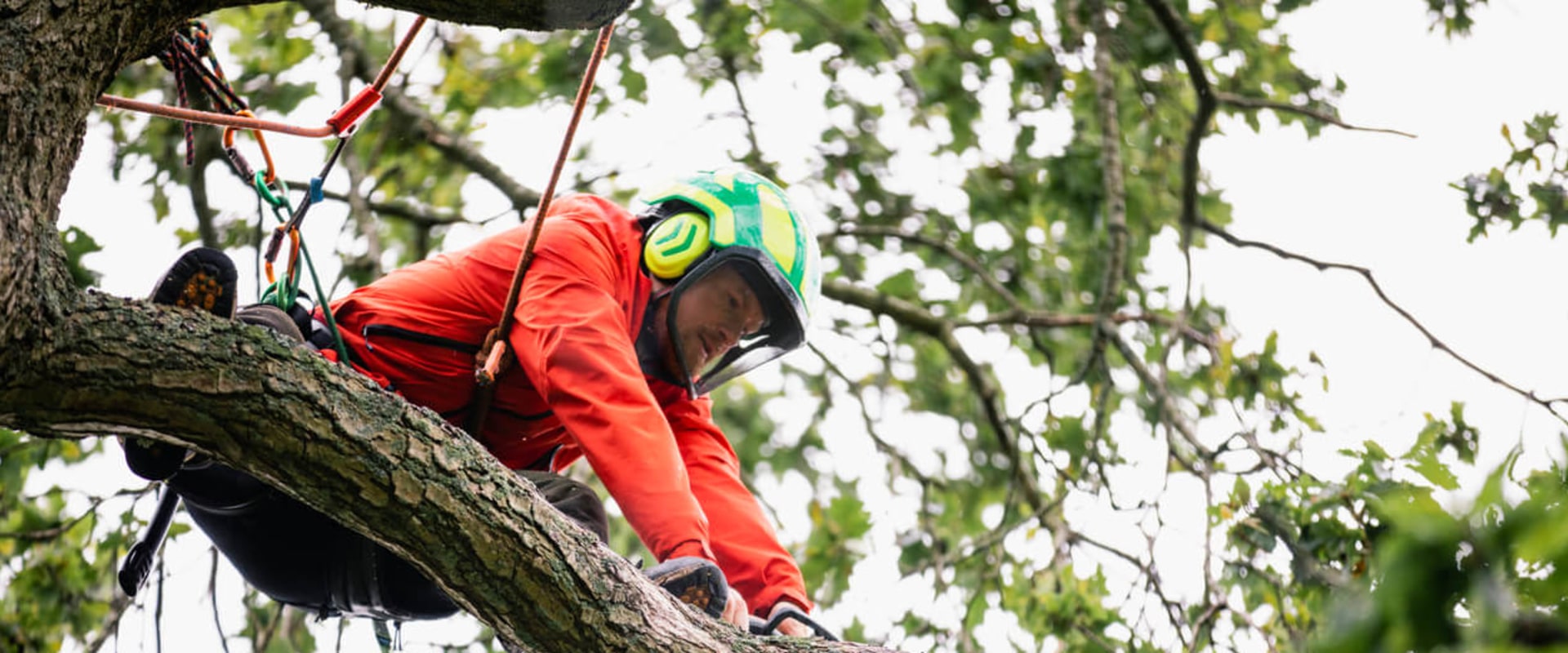 Protecting Your Investment: How A Professional Landscaping Service Minimizes Wear On Forestry Equipment In New Hampshire