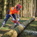 Maintaining and Sharpening Chainsaws for Forestry Equipment