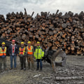 How Exterior Property Improvements Help Support Safer Forestry Equipment Operations