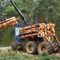 Exploring the Different Types of Delimbers in Forestry Equipment