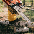 Sustainable Solutions: Bethany's Stump Removal Service Leading The Way In Forestry Equipment Efficiency