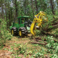 The Mighty Feller Buncher: A Game-Changing Forestry Equipment