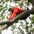 Protecting Your Investment: How A Professional Landscaping Service Minimizes Wear On Forestry Equipment In New Hampshire