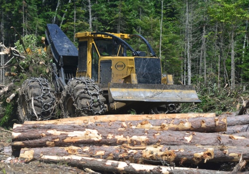 The Essential Guide to Delimbers in Forestry