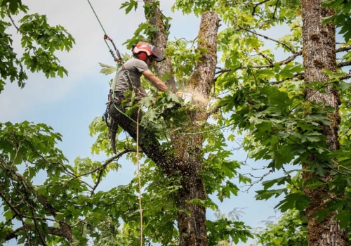 Maximizing Landscaper Services With Advanced Forestry Equipment In Portland, OR