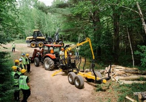 How Structural Engineers Benefit From Well-Planned Forestry Equipment Operations