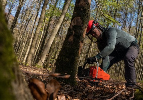Exploring the Different Types of Chainsaws Used in Forestry