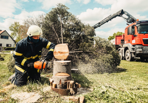 Boost Curb Appeal With Tree Felling Services Using Forestry Equipment In Kalamazoo, MI