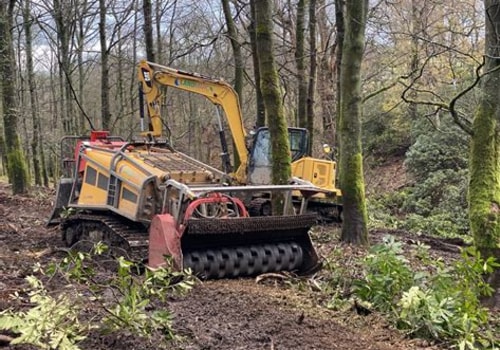 Clearing the Way: Forestry Equipment for Easier Moving Day Access
